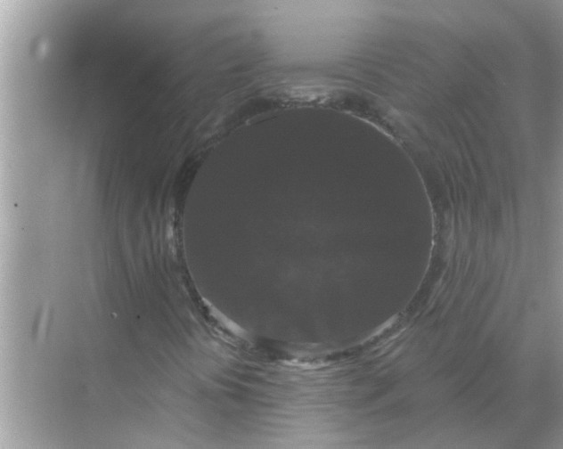 X0000070861394200606302034