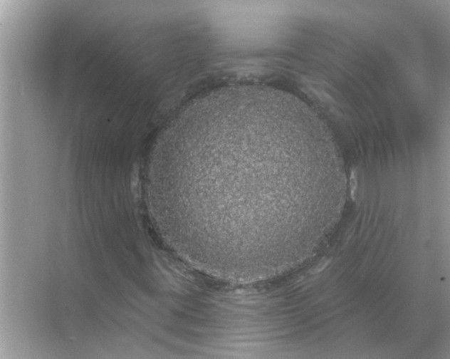 X0000070861395200606302034