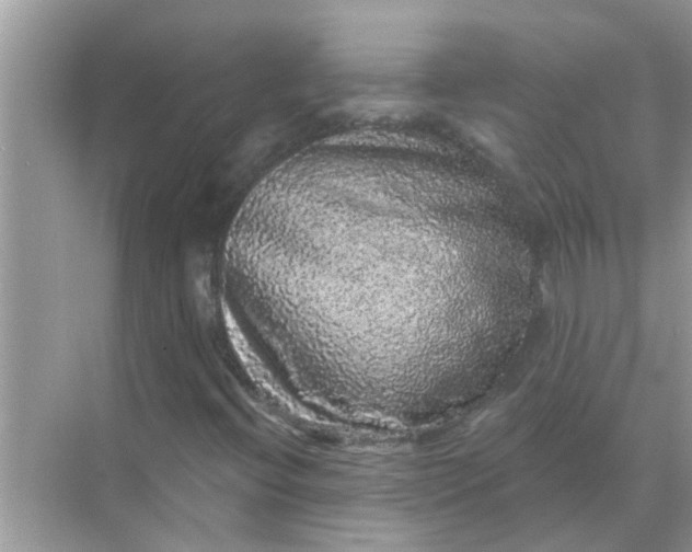 X0000070861396200606302034