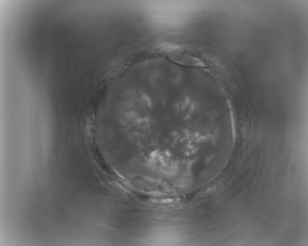 X0000070861397200606302034