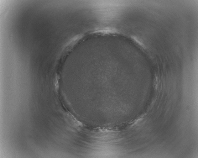 X0000070861398200606302034