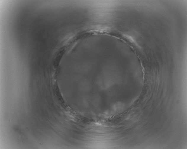 X0000070861399200606302034