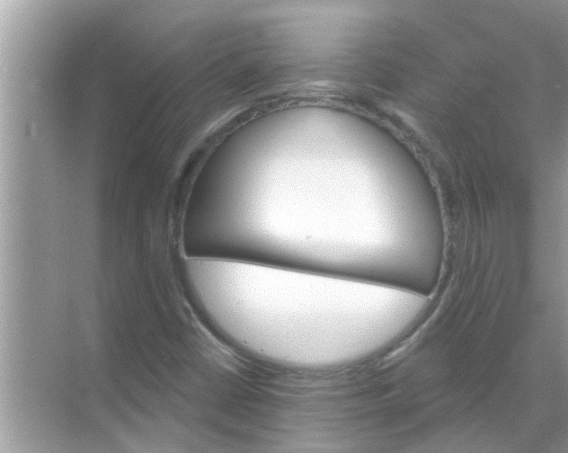 X0000070861402200606302034