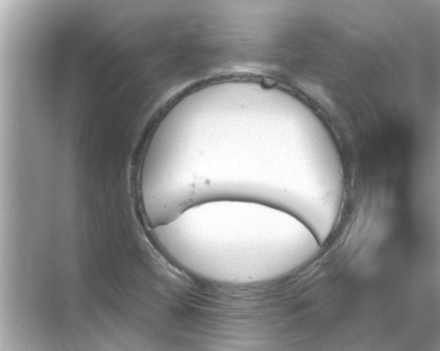 X0000070861404200606302034