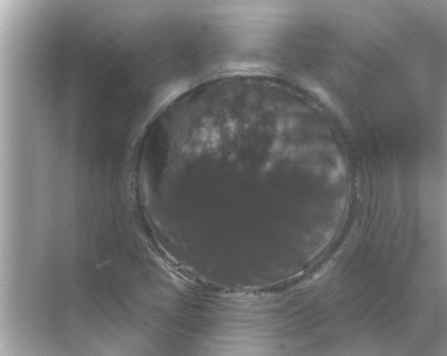 X0000070861405200606302034