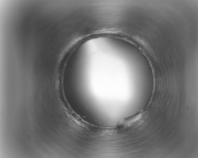 X0000070861406200606302034