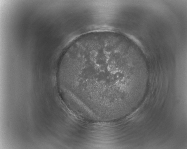 X0000070861407200606302034