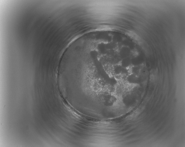 X0000070861409200606302034