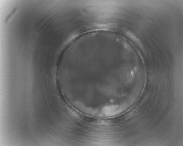 X0000070861411200606302034