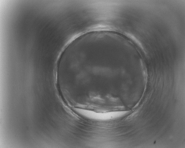 X0000070861413200606302034