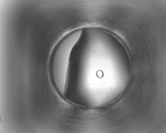 X0000070861414200606302034