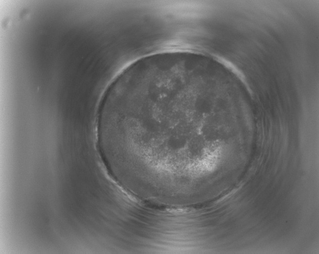 X0000070861415200606302034