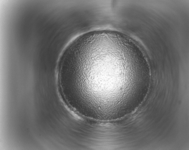 X0000070861416200606302034