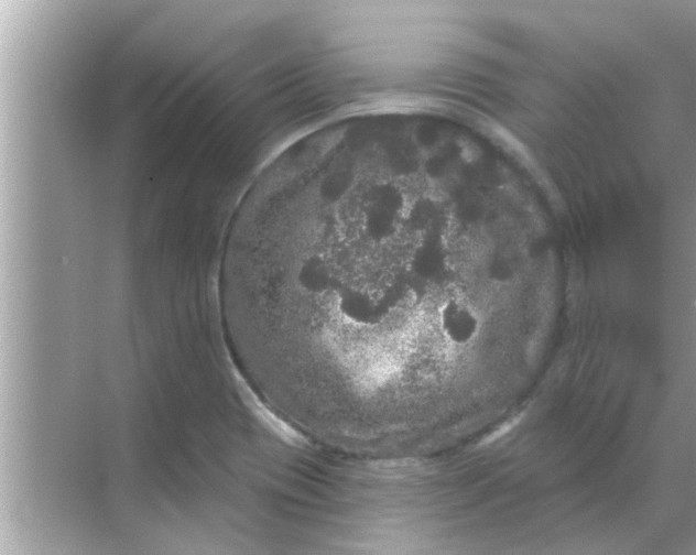 X0000070861417200606302034