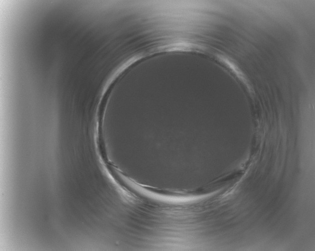 X0000070861418200606302034