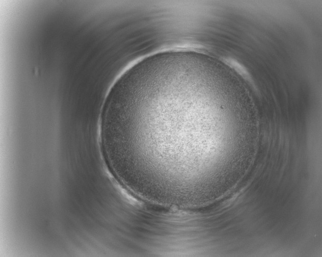 X0000070861420200606302034