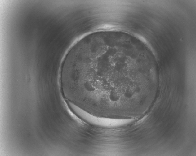 X0000070861421200606302034