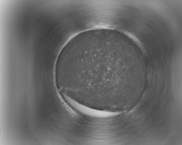 X0000070861423200606302034