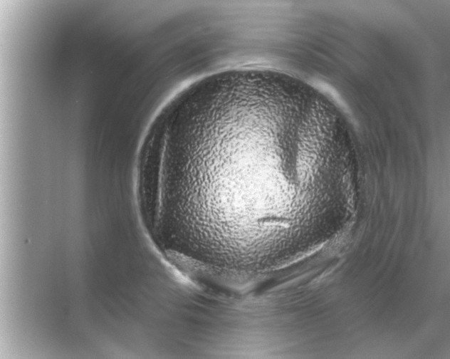 X0000070861424200606302034