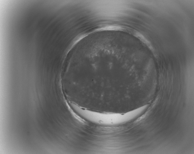 X0000070861425200606302034