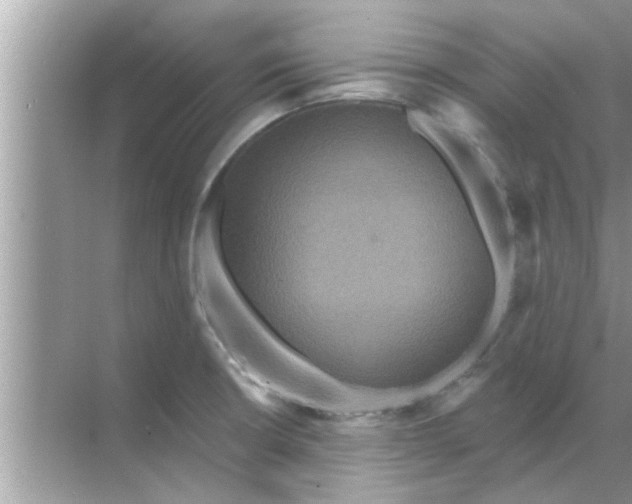 X0000070861426200606302034