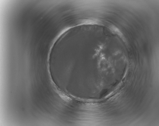 X0000070861427200606302034