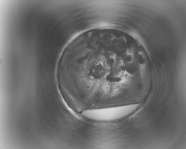 X0000070861429200606302034