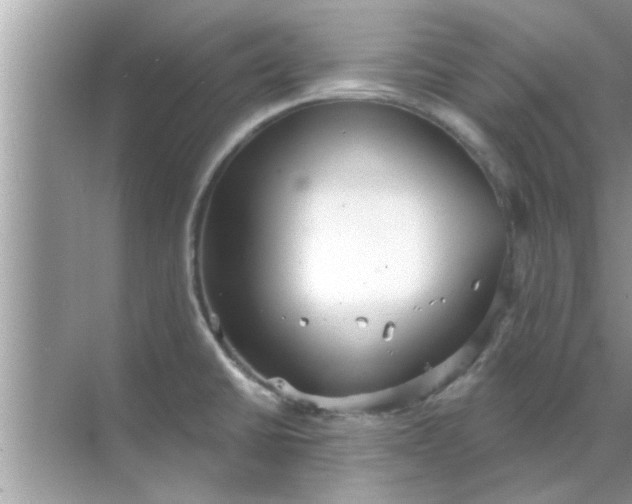 X0000070861430200606302034