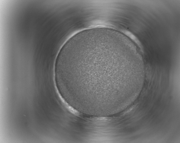 X0000070861431200606302034