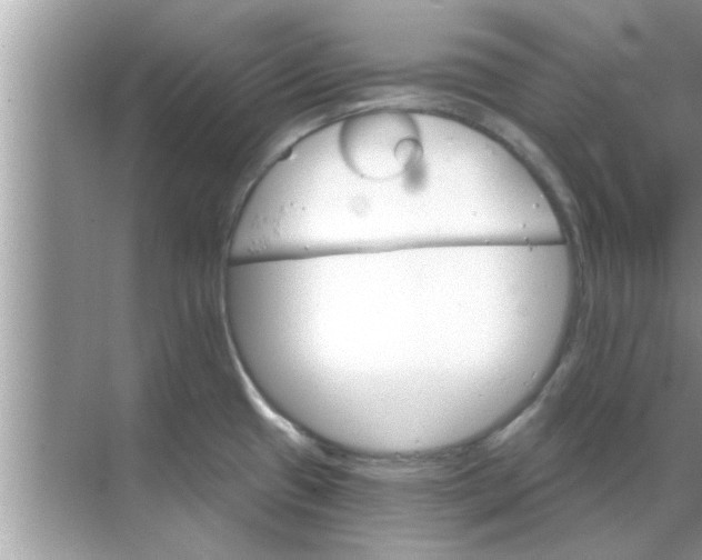 X0000070861433200606302034