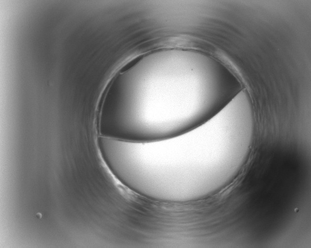 X0000070861434200606302034