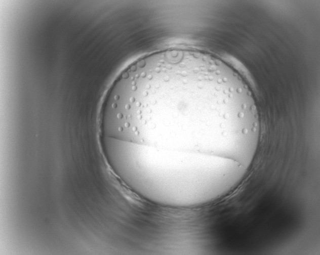 X0000070861435200606302034