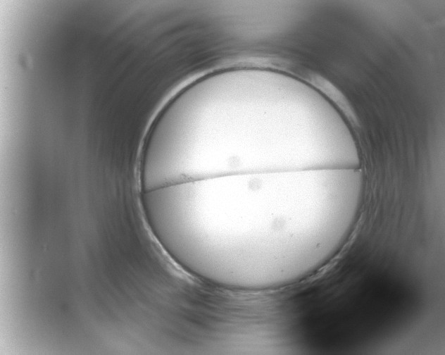 X0000070861436200606302034