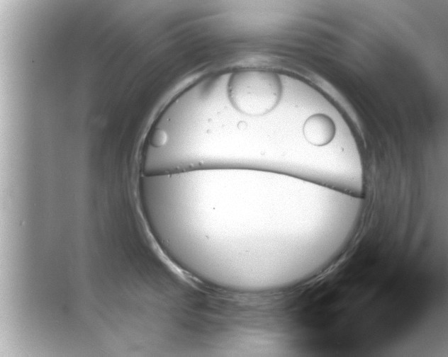 X0000070861437200606302034