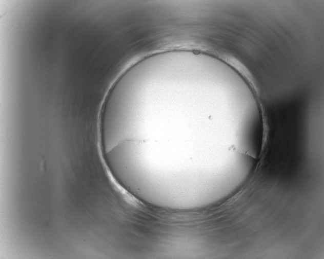 X0000070861439200606302034