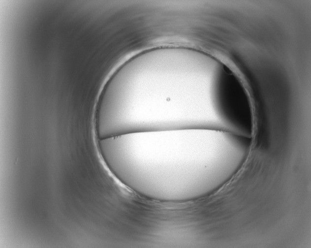 X0000070861440200606302034