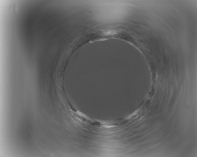 X0000070861441200606302034