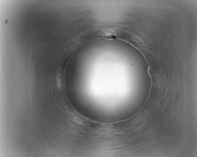 X0000070861442200606302034