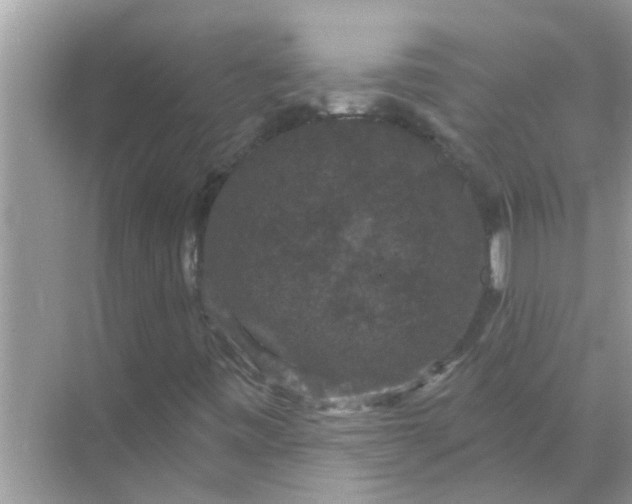 X0000070861443200606302034