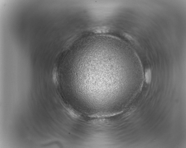 X0000070861444200606302034