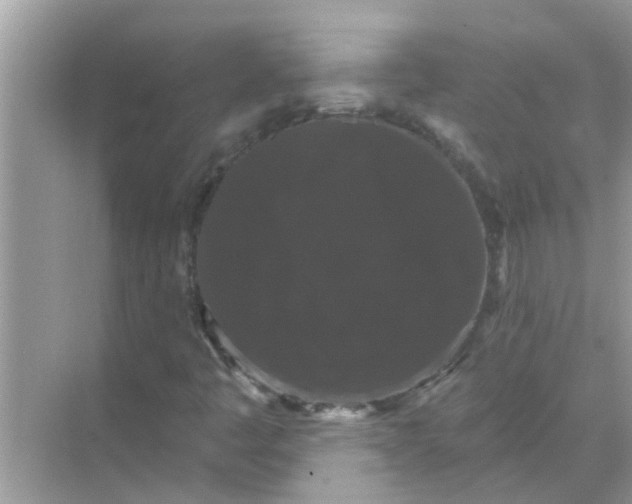 X0000070861445200606302033