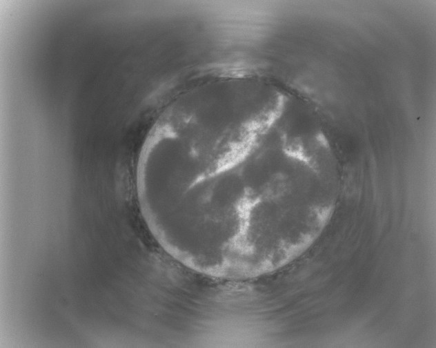 X0000070861446200606302033