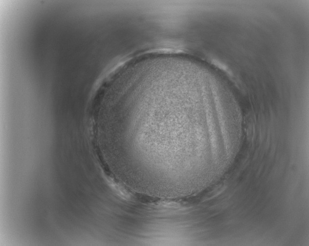 X0000070861448200606302033