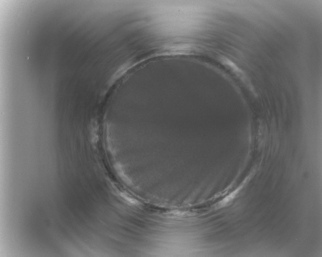 X0000070861449200606302033