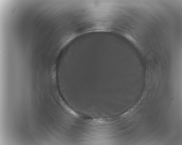 X0000070861450200606302033