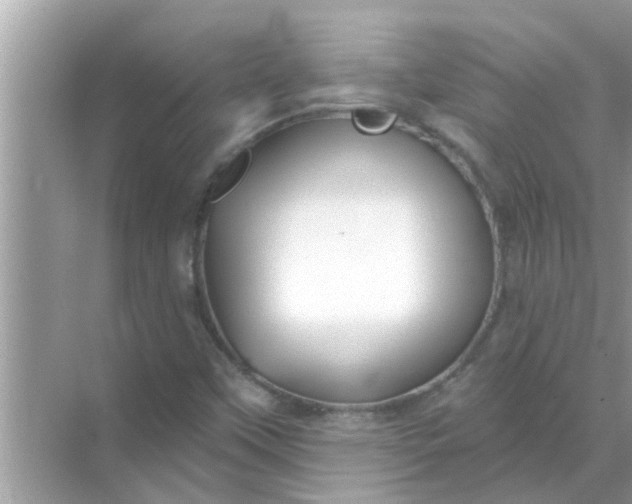 X0000070861451200606302033