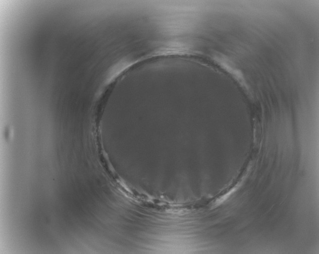 X0000070861453200606302033