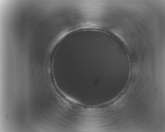 X0000070861455200606302033