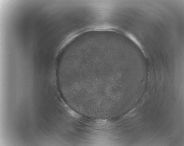 X0000070861456200606302033