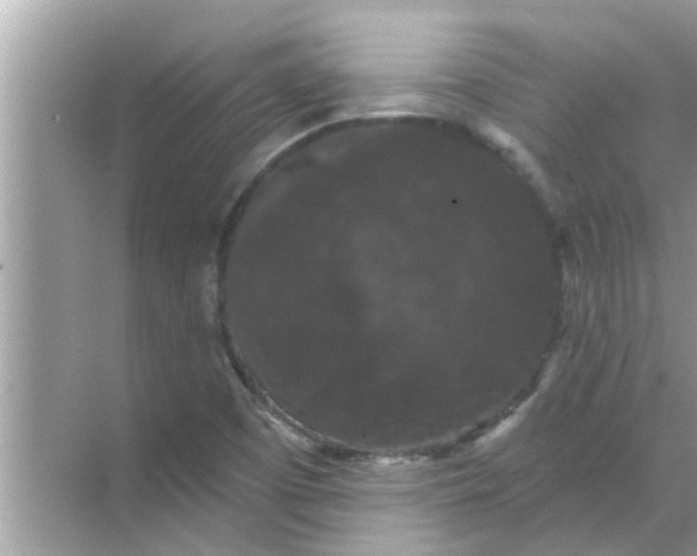 X0000070861457200606302033